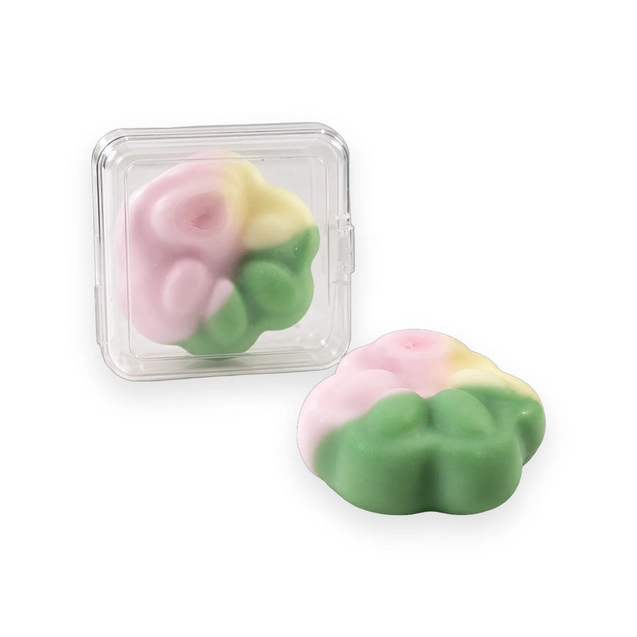 Pastel pink, yellow and green flower mochi squishy beside its small clear case