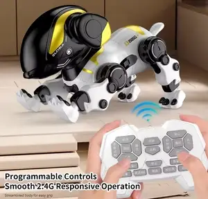 Electronic Toys